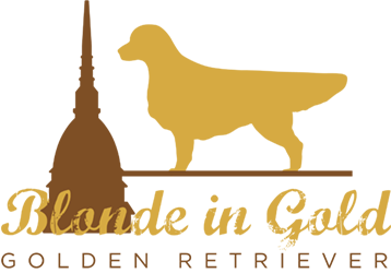 Logo BiG golden retr