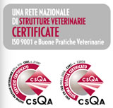 Visita il sito web del gruppo CVIT