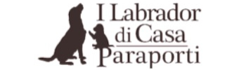 Labrador sito