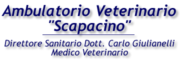 ambulatorio scapacino